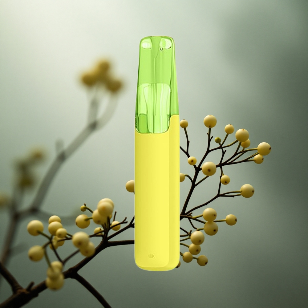 Jasminų LongJing arbata Snowplus Dash 4000 Puffs 7,5 ml Lithuania vape