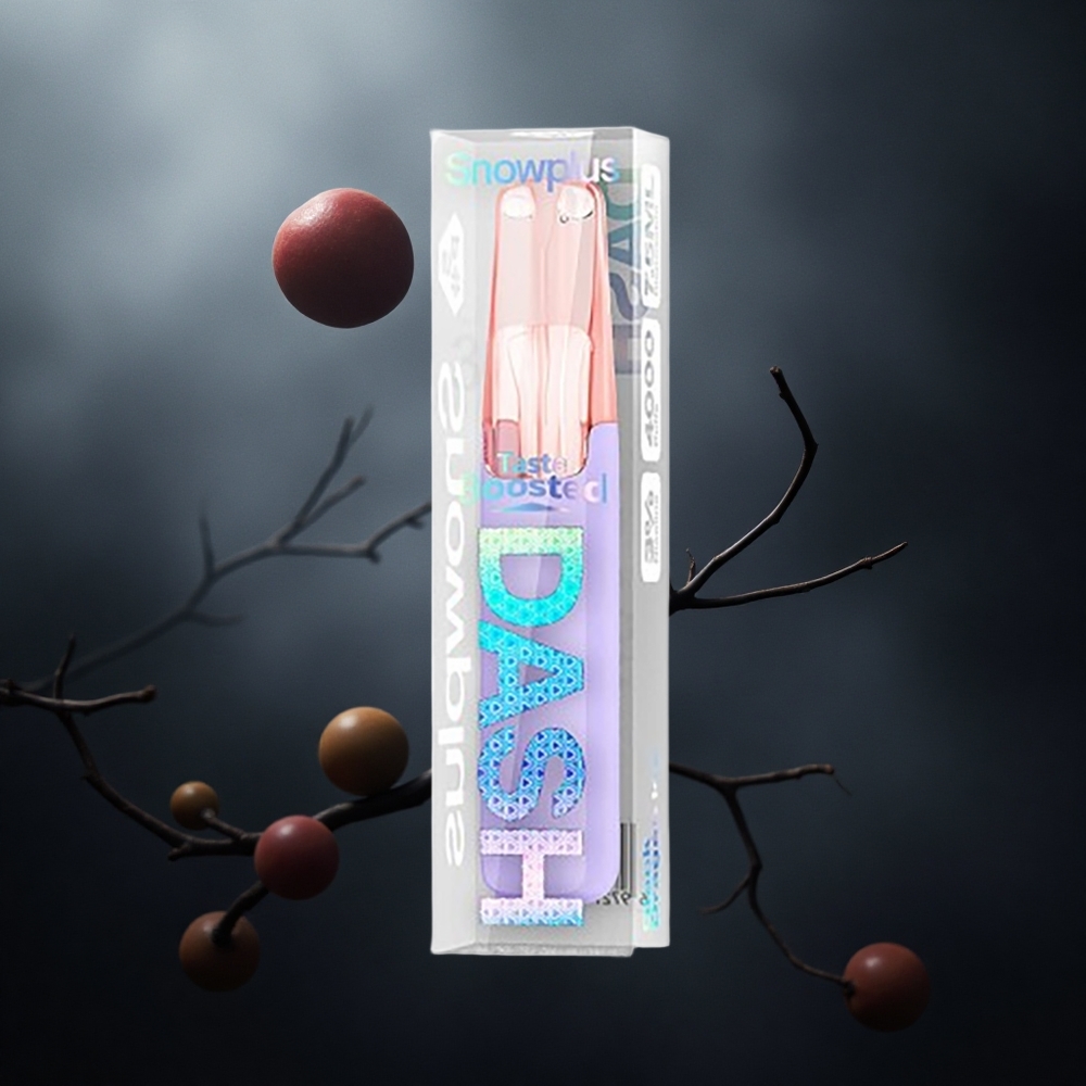 Juodasis Drakonas Ledas Snowplus Dash 4000 Puffs Keraminis 7.5 ml Lithuania vape