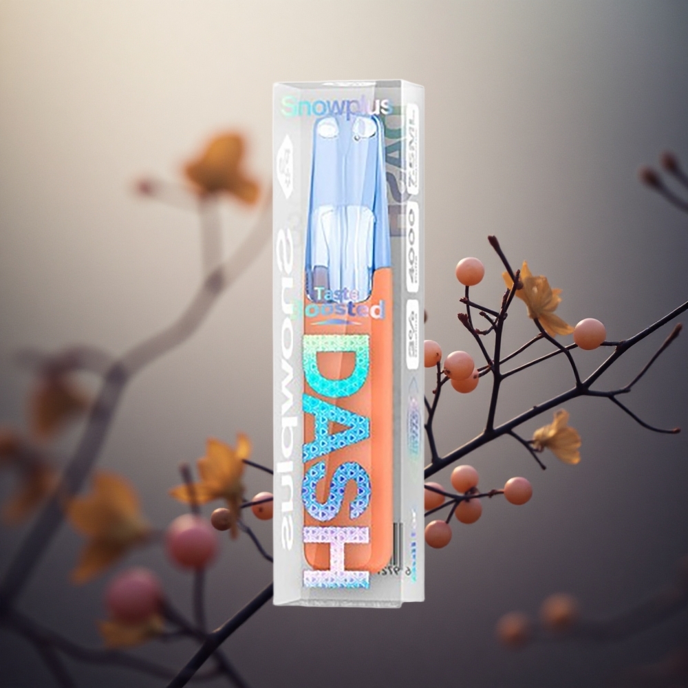 Ledų Kombinacija Snowplus Dash 4000 Puffs Keraminis Lithuania vape