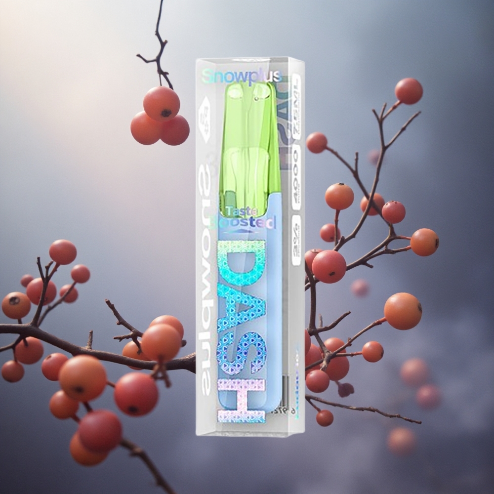 Ledų Sniegas Snowplus Dash 4000 Puffs 7,5 ml Lithuania vape