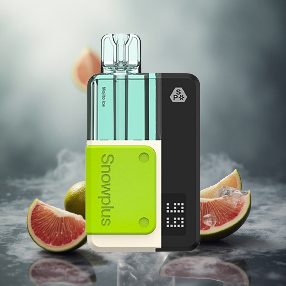 Mojito Ledas Snowplus Swift 5000 Puffs Dual Mesh Lithuania vape