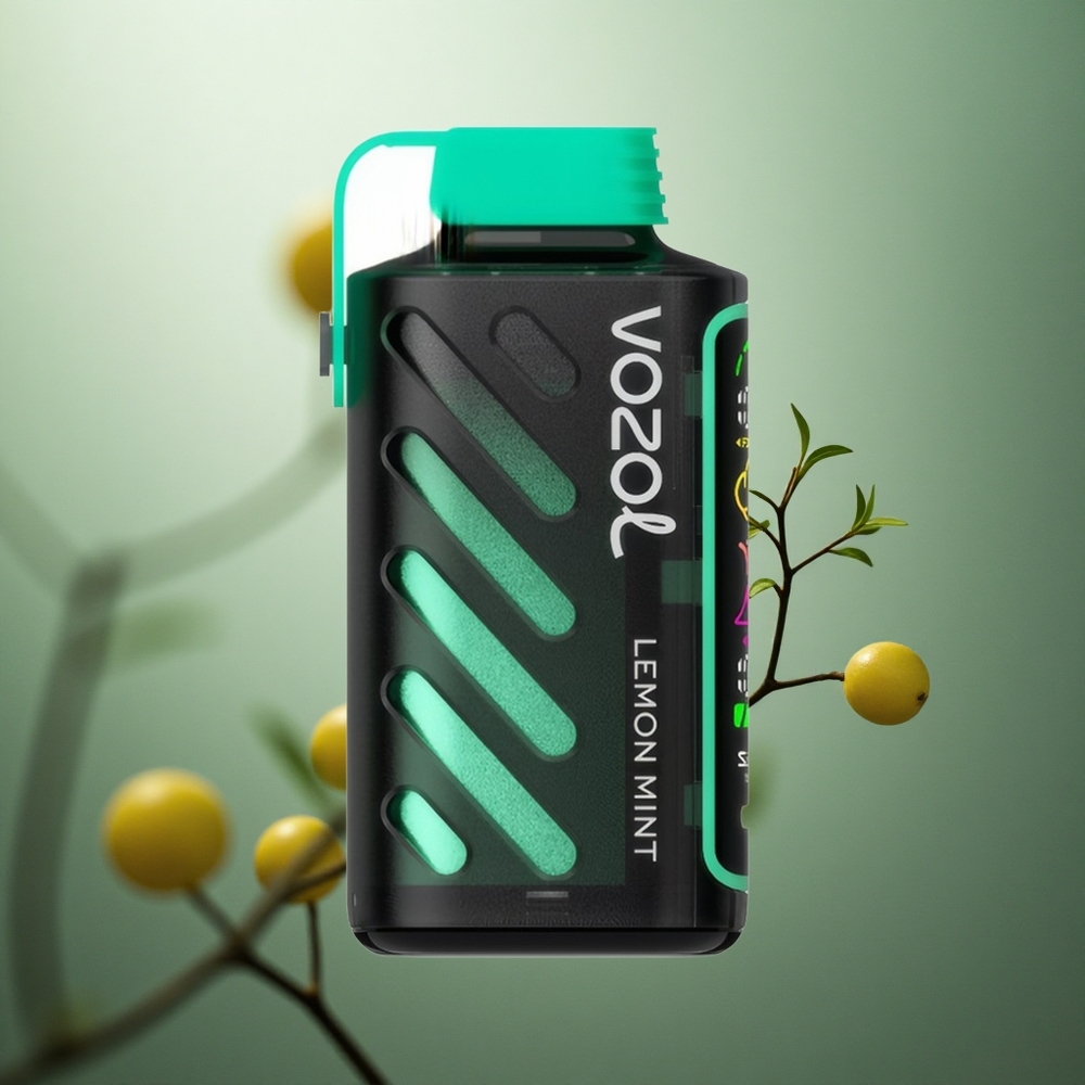Citrinų Mėtų VOZOL Gear Power 20000 Potūpių Dvigubas Tinklelis Lithuania vape