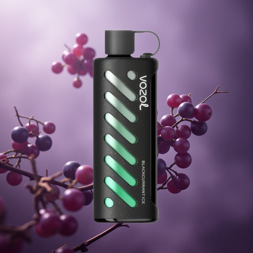 Juodųjų serbentų ledas VOZOL Gear Shisha 25000 užtraukimų su 1000mAh baterija Lithuania vape