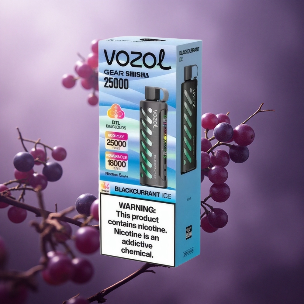 Juodųjų serbentų ledas VOZOL Gear Shisha 25000 užtraukimų su 1000mAh baterija Lithuania vape