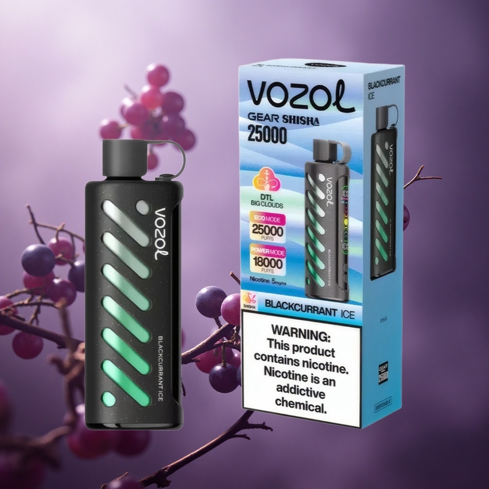 Juodųjų serbentų ledas VOZOL Gear Shisha 25000 užtraukimų su 1000mAh baterija Lithuania vape