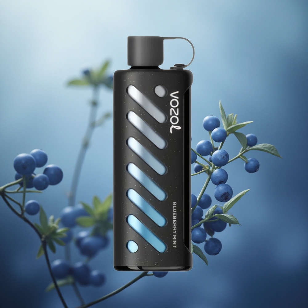 Mėlynųjų serbentų mėta VOZOL Gear Shisha 25000 Puffs 1000mAh Lithuania vape