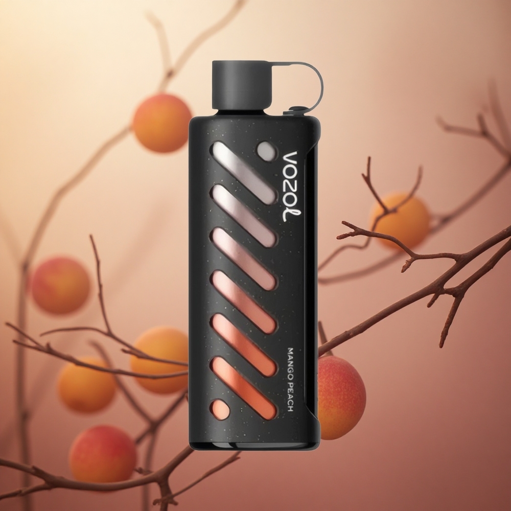 Mango Persikų VOZOL Gear Shisha 25000 Puffs 1000mAh Lithuania vape