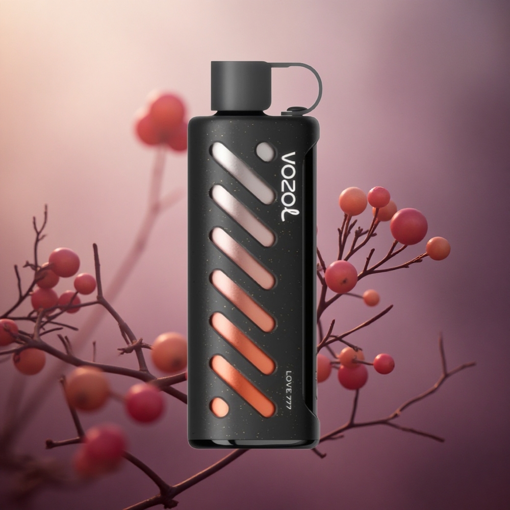 Meilė 777 VOZOL Gear Shisha 25000 Puffs Dual Mesh Lithuania vape