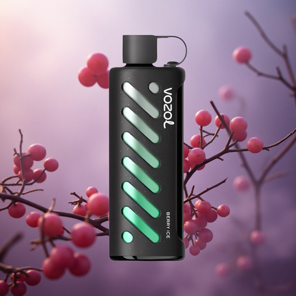 Uogų ledas VOZOL Gear Shisha 25000 užtraukimų 1000mAh Lithuania vape