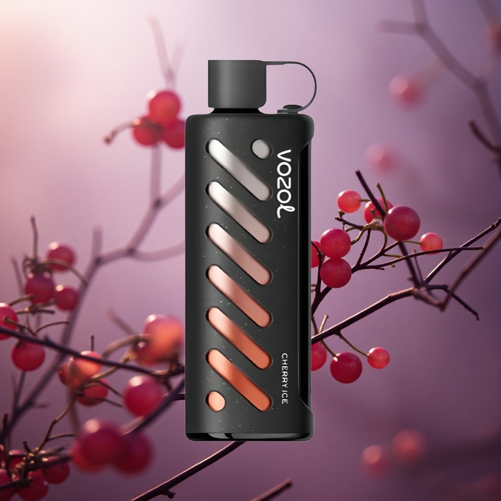 Vyšnių ledas VOZOL Gear Shisha 25000 Puffs 1000mAh Lithuania vape