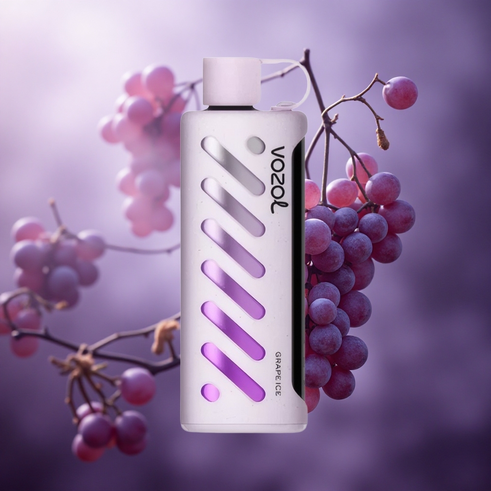 Vynuogės ledas VOZOL Gear Shisha 25000 užtraukimų 1000mAh Lithuania vape