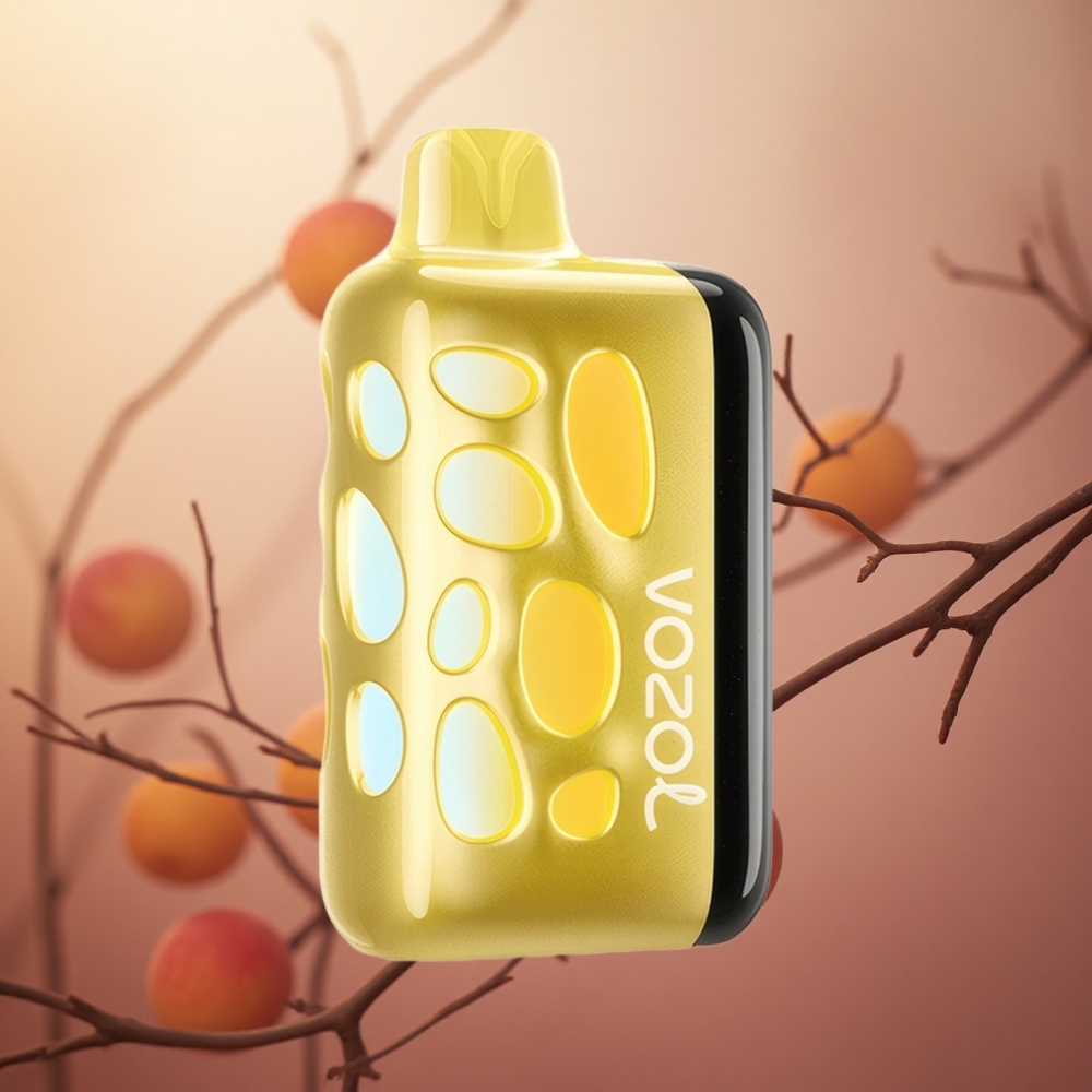 Mango Persikų VOZOL RAVE 40000 Disposable 1000mAh Lithuania vape