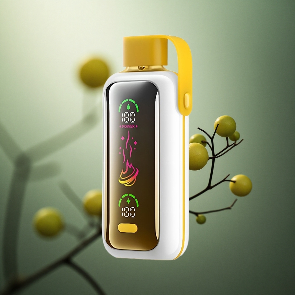 Citrinų ir laimų kombinacija VOZOL Star 20000 Dūmai 2.2 HD veidrodinis ekranas Lithuania vape