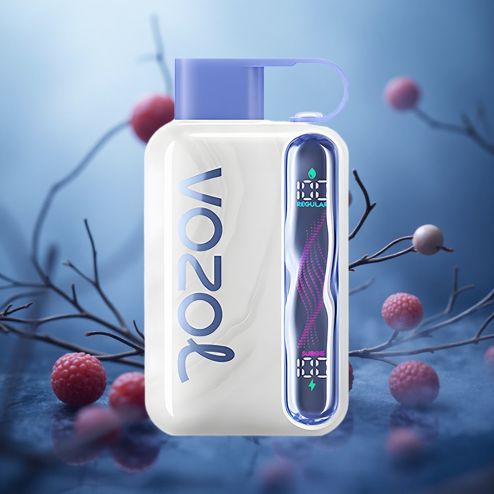 Mėlynųjų aviečių ledas VOZOL STAR 40000 PUFFS 1000mAh Type-C Lithuania vape
