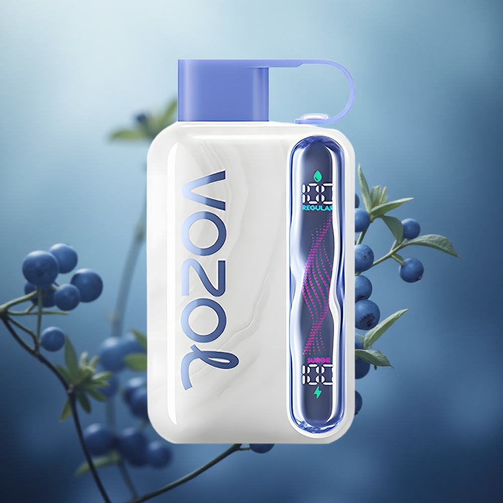 Mėlynųjų serbentų mėta VOZOL STAR 40000 Puffs 1000mAh Lithuania vape