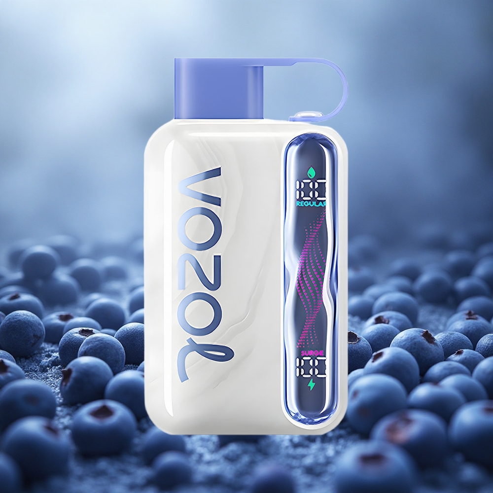 Mėlynųjų uogų ledas VOZOL STAR 40000 Puffs Type-C Lithuania vape