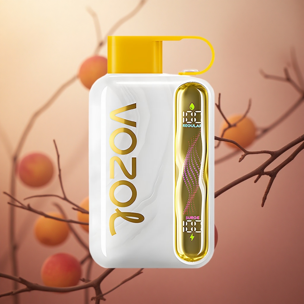 Mango Persikų VOZOL STAR 40000 Puffs, 1000mAh, Lithuania vape