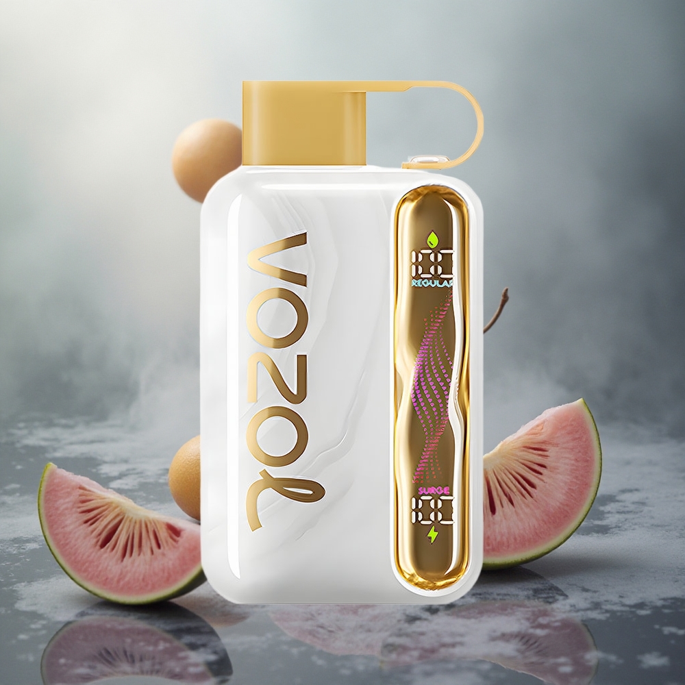 Melionų Ledas VOZOL STAR 40000 Pūkų 1000mAh Lithuania vape
