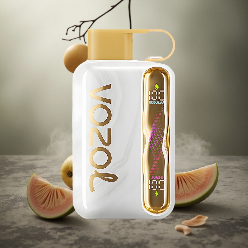 Meliono guma VOZOL STAR 40000 Puffs 1000mAh Type-C Lithuania vape