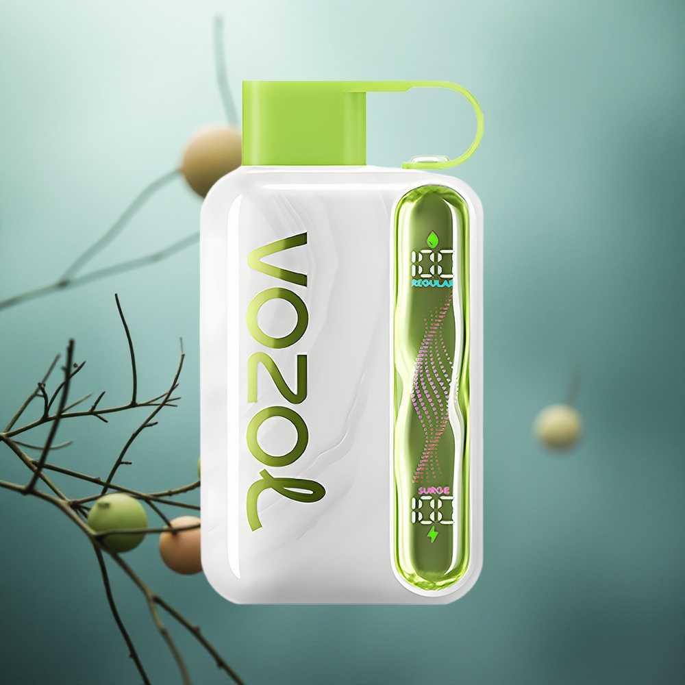 Šalta Mėta VOZOL STAR 40000 Pūkštelių Type-C Lithuania vape