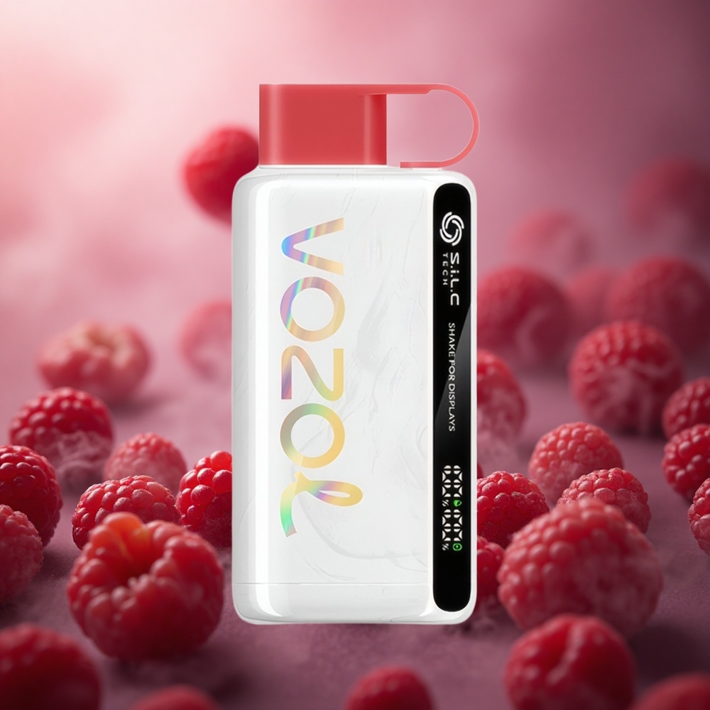Braškių Aviečių Vyšnių VOZOL STAR 9000/12000 Disposable 30% greitesnis įkrovimas Lithuania vape