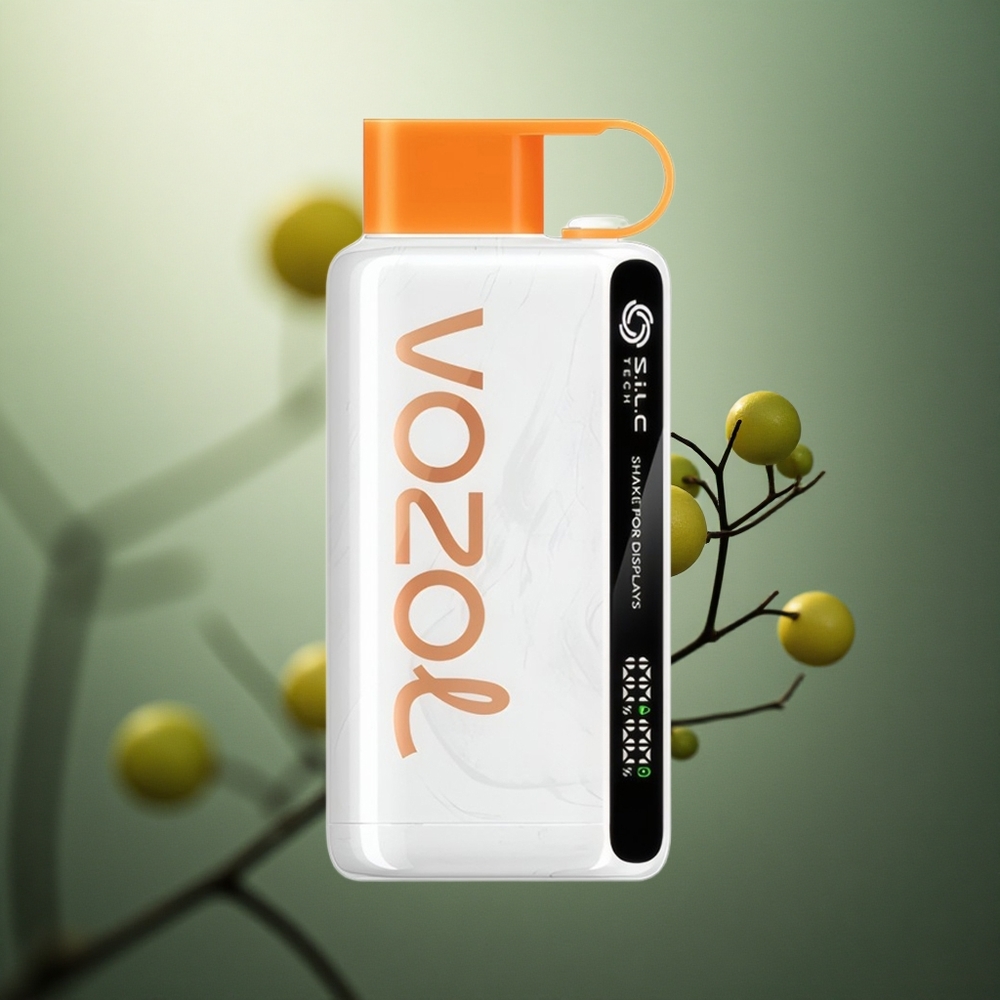 Citrinų-Laimų Skonis VOZOL STAR 9000/12000 Disposable 30% greitesnis įkrovimas Lithuania vape