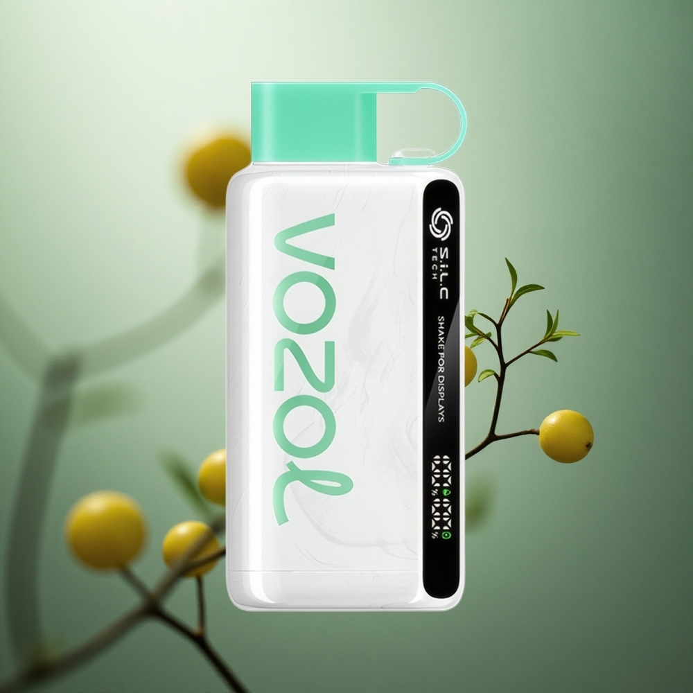 Citrinų Mėtų VOZOL STAR 9000/12000 Disposable 650mAh Lithuania vape