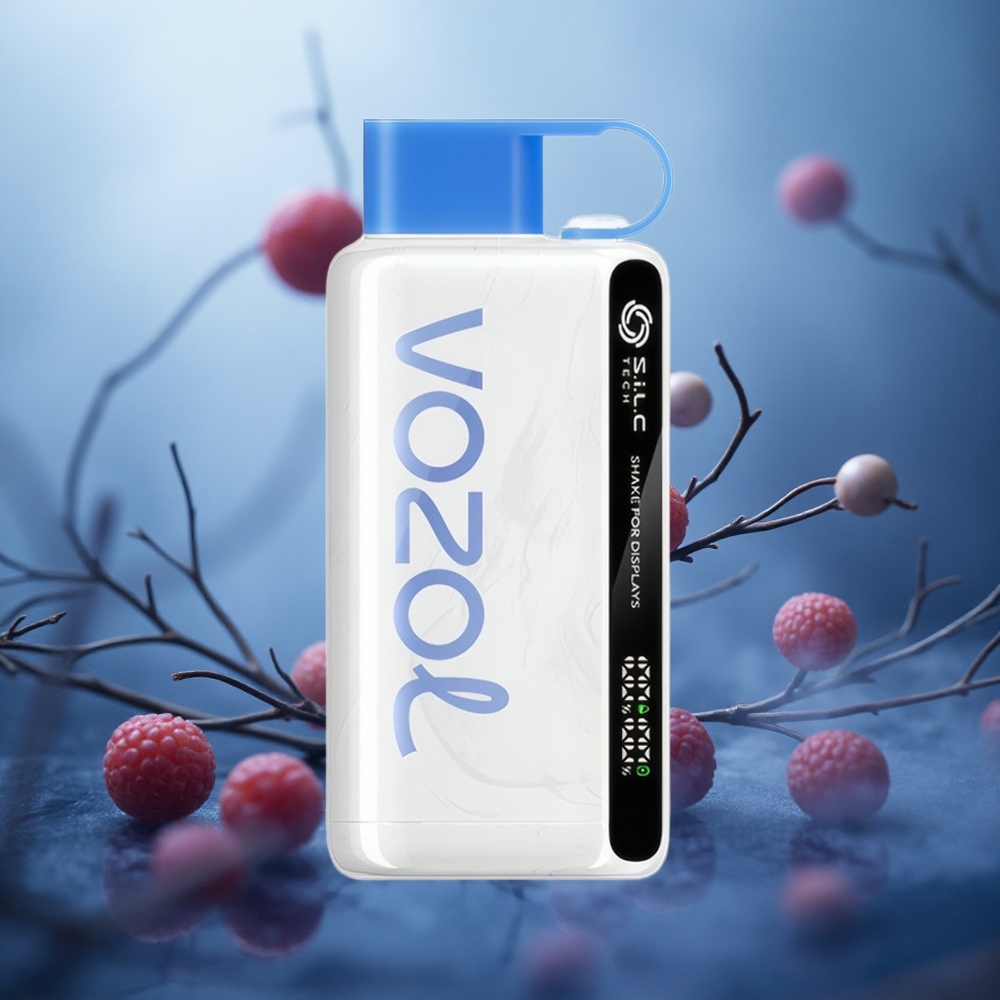 Mėlynųjų aviečių ledas VOZOL STAR 9000/12000 650mAh Lithuania vape