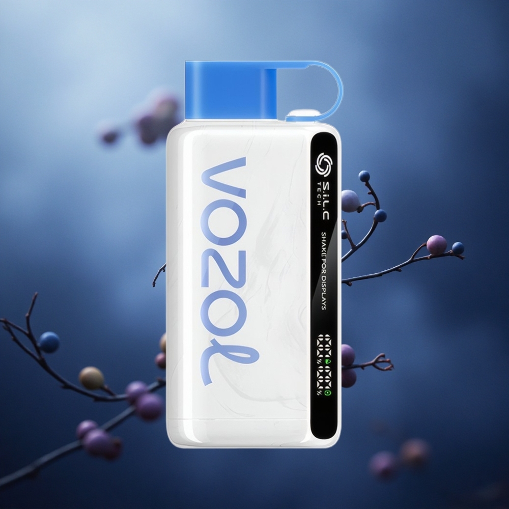 Mėlynųjų uogų audra VOZOL STAR 9000/12000 Vienkartinis Vape 30% greitesnis įkrovimas Lithuania vape