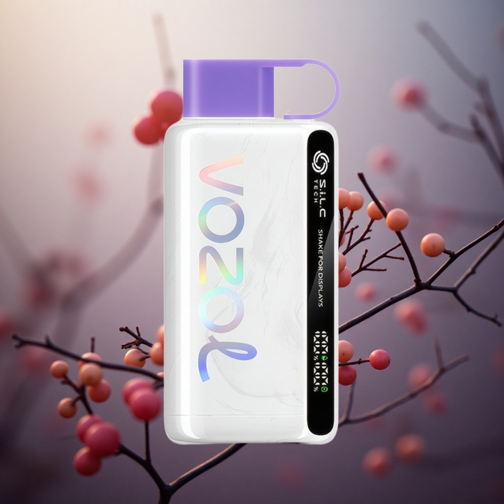 Mišrios uogos VOZOL STAR 9000/12000 Vienkartinis Vape 650mAh akumuliatorius Lithuania vape