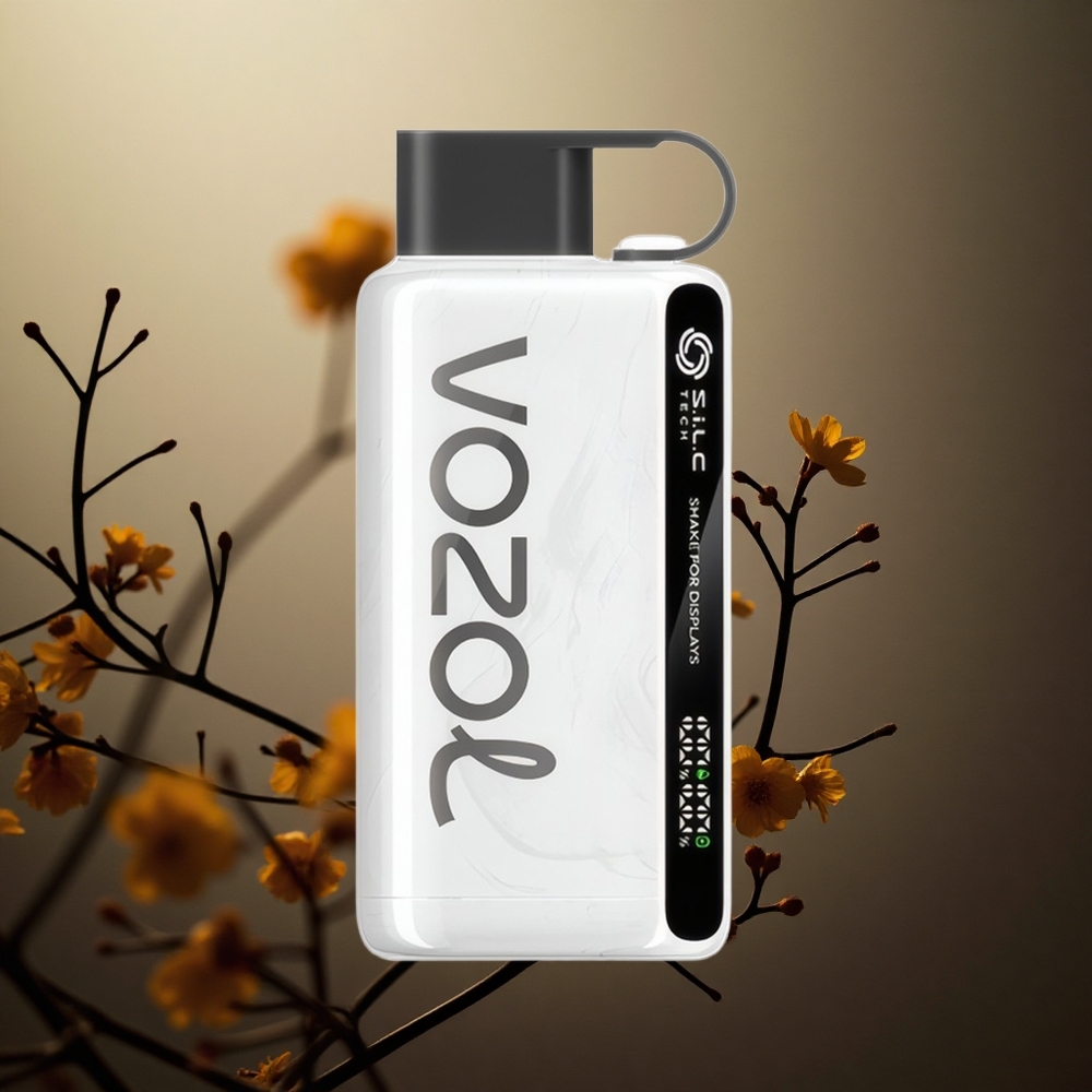 Tabako VOZOL STAR 9000/12000 Vienkartinis Vape su 30% greitesniu įkrovimu Lithuania vape