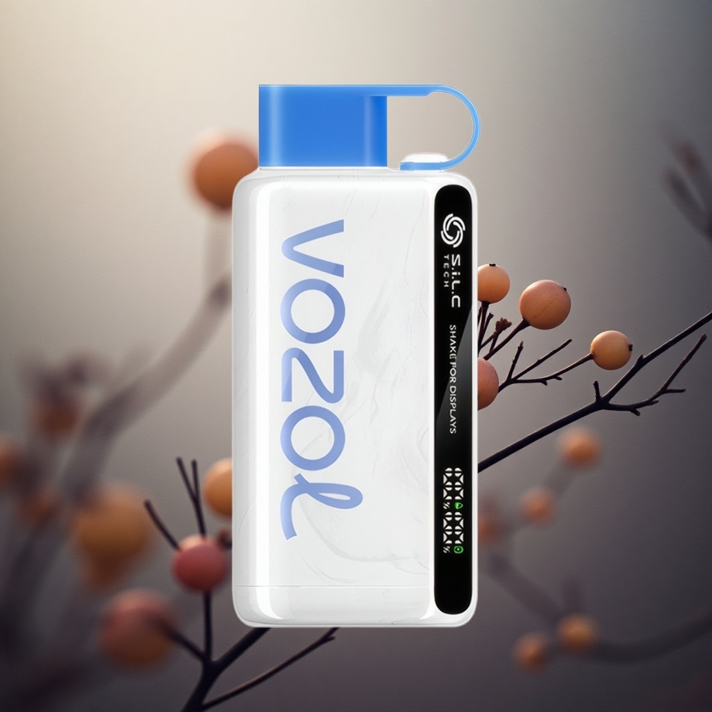 Vzbull VOZOL STAR 9000/12000 Vienkartinis Vape Greitesnis įkrovimas Lithuania vape