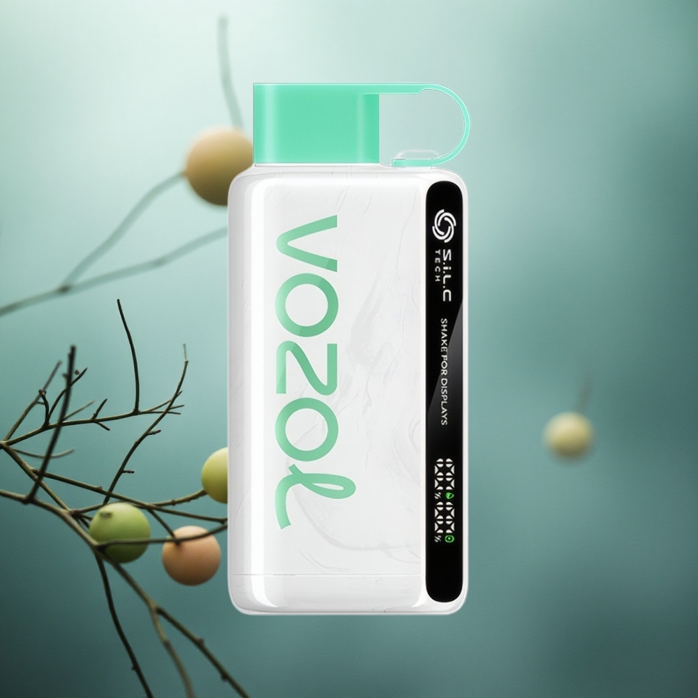 Šalta Mėta VOZOL STAR 9000/12000 Vienkartinis Vape 30% greitesnis įkrovimas Lithuania vape