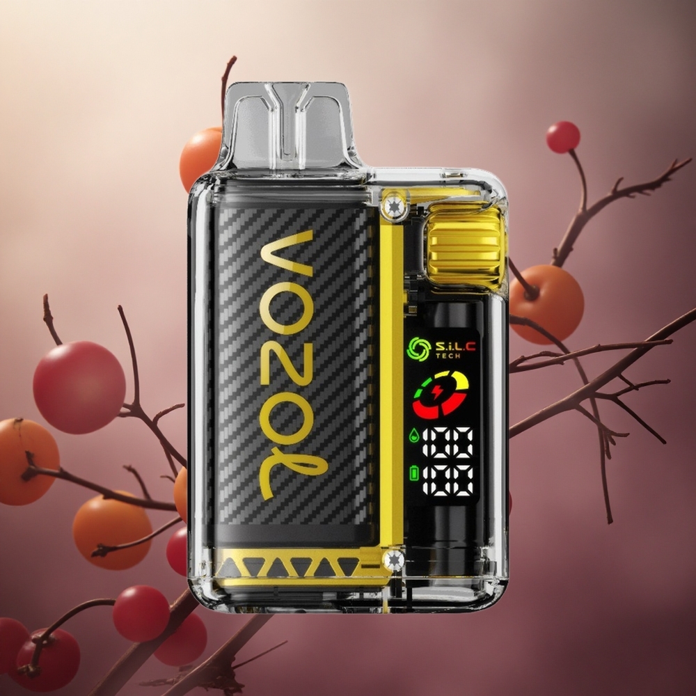 Dragon Fruit Bananų Vyšnių VOZOL Vista 20000 Puffs 650mAh Lithuania vape