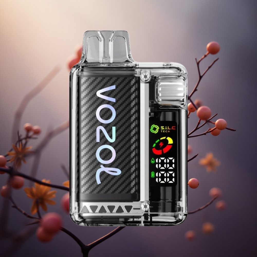 Lavaugnies VOZOL Vista 20000 Puffs 650mAh Ekologiškas Lithuania vape