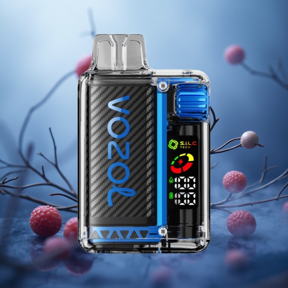Mėlynųjų serbentų ledas VOZOL Vista 20000 Puffs 650mAh baterija Lithuania vape