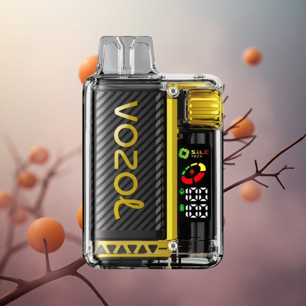 Mango ledų VOZOL Vista 20000 Puffs 650mAh Įkrovama Lithuania vape