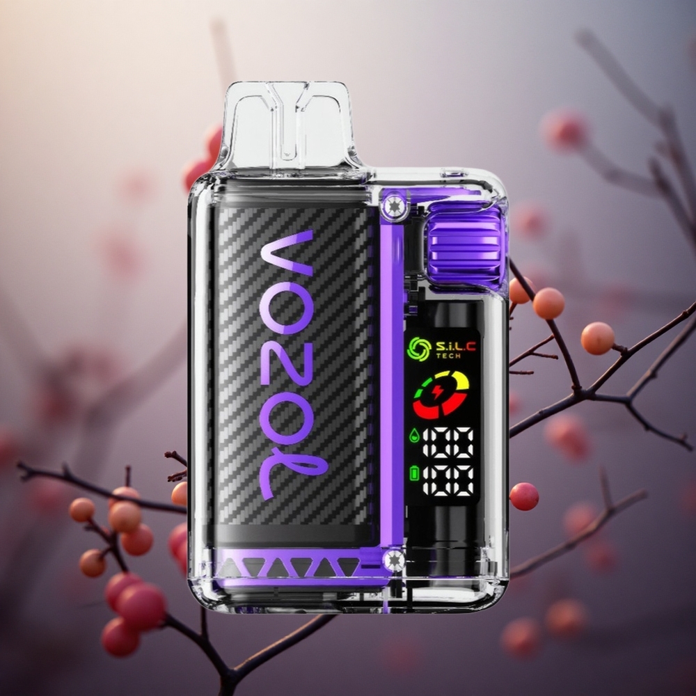 Uogų mišinys VOZOL Vista 20000 užpildų 650mAh baterija Lithuania vape